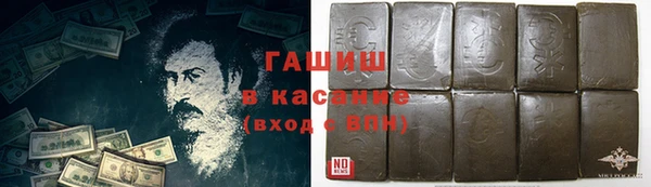 сатива Няндома