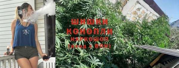 PSILOCYBIN Нягань