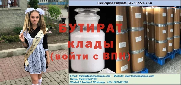 сатива Няндома