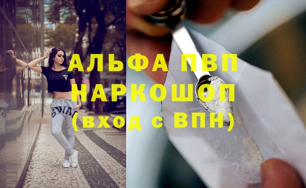 сатива Беслан