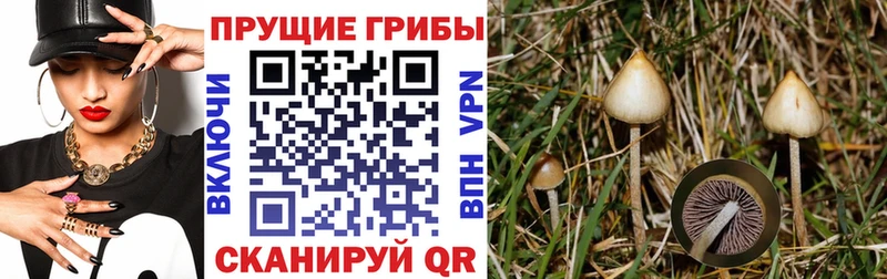 Галлюциногенные грибы GOLDEN TEACHER  где купить наркотик  мега вход  Покачи 
